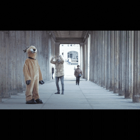 Campaign — Case